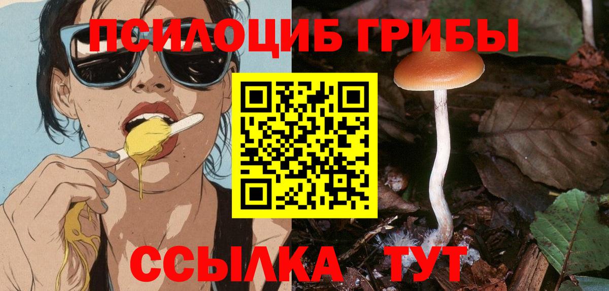 Электрогорск  Галлюциногенные грибы MAGIC MUSHROOMS  Вход с VPN 