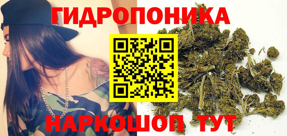 Канабис семена  Марихуана MAZAR  Электрогорск  Каннабис Bruce Banner  Вход с VPN  Марихуана планчик 